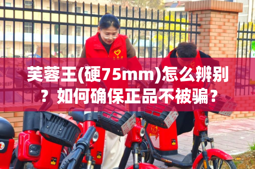 芙蓉王(硬75mm)怎么辨别？如何确保正品不被骗？